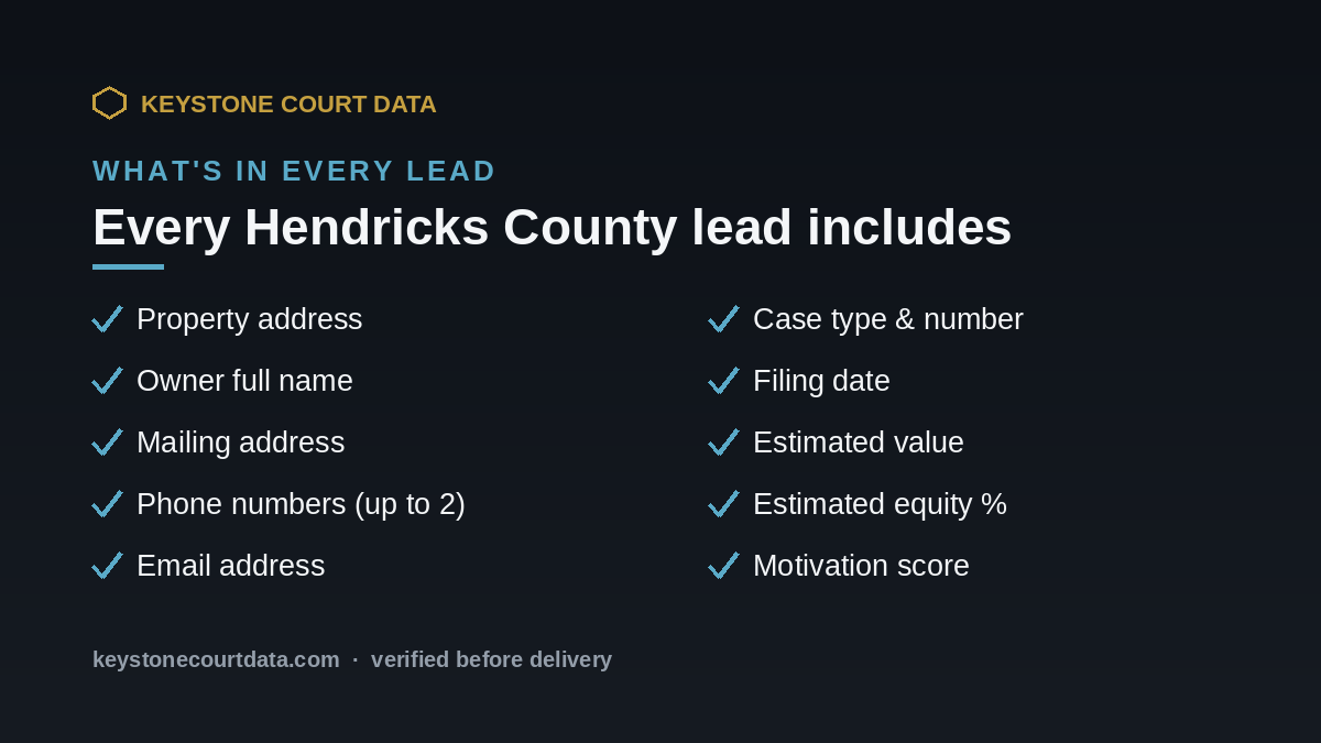 What's in every Hendricks County lead — data fields included