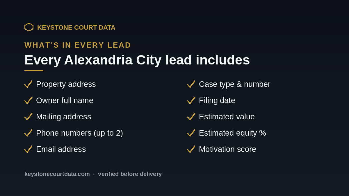 What's in every Alexandria City lead — data fields included