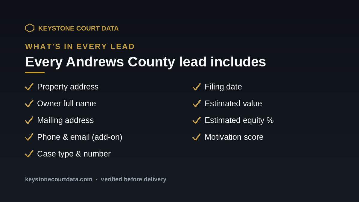 What's in every Andrews County lead — data fields included