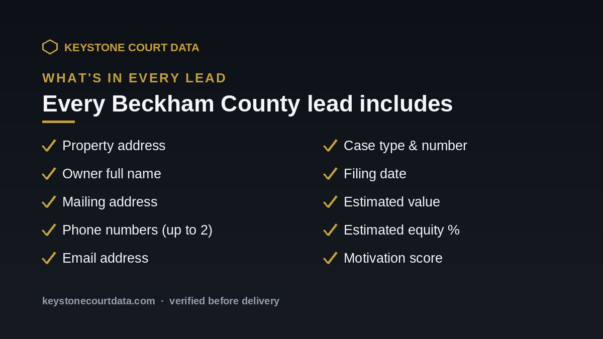 What's in every Beckham County lead — data fields included