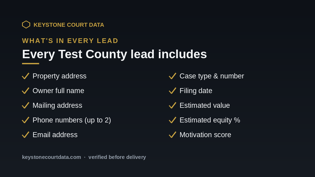 What's in every Test County lead — data fields included