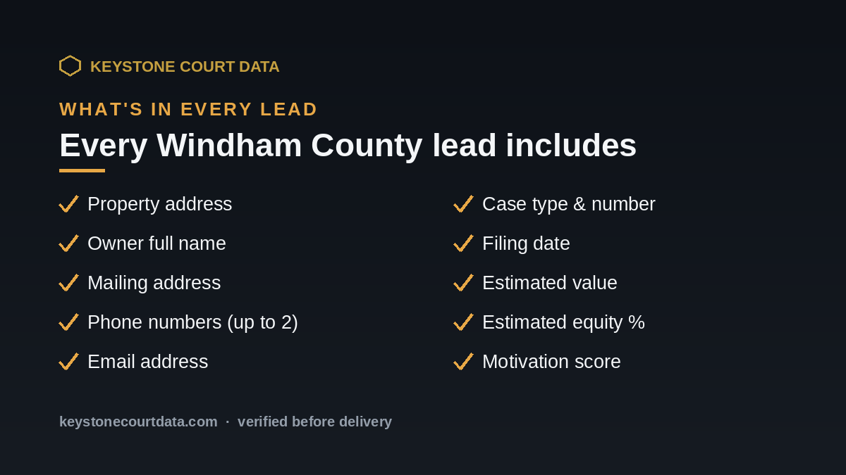 What's in every Windham County lead — data fields included