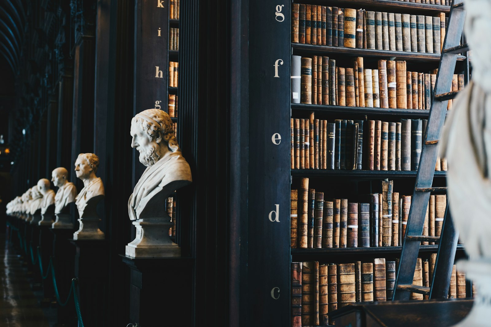 Classical courthouse interior with marble busts and law books in Marion County