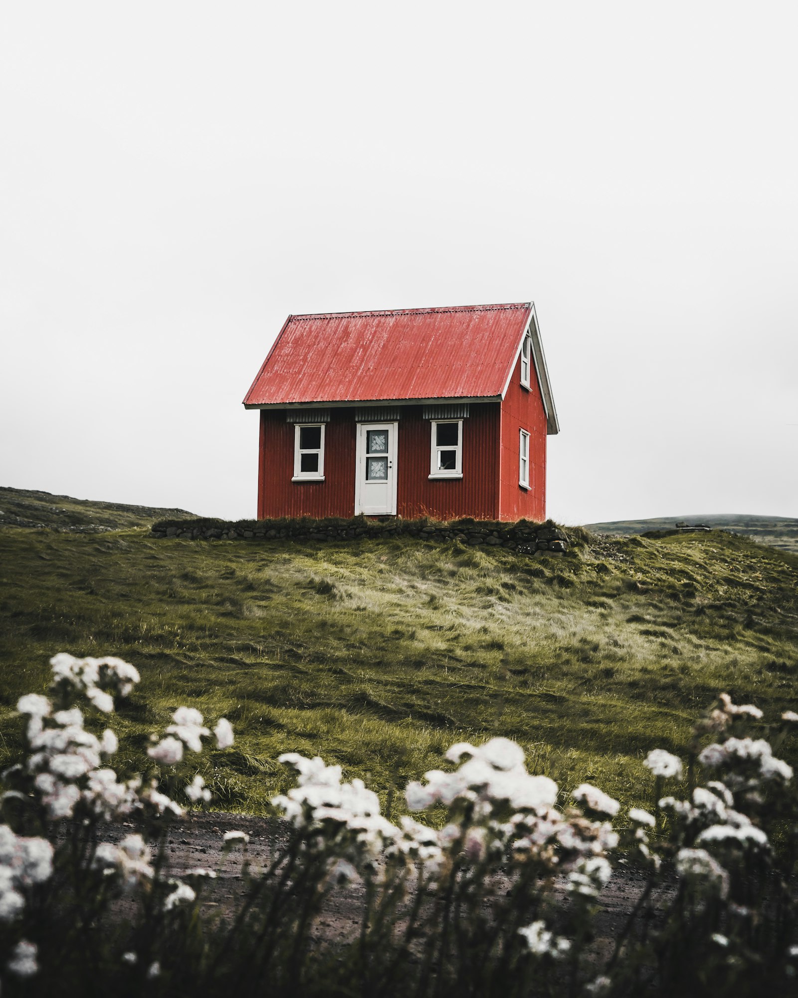 Isolated rural home in a green meadow in Indiana